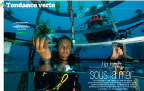 Un jardin sous la mer